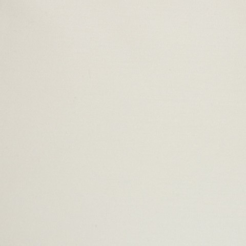 Cream 756120-8 - Pure Cotton Shirts