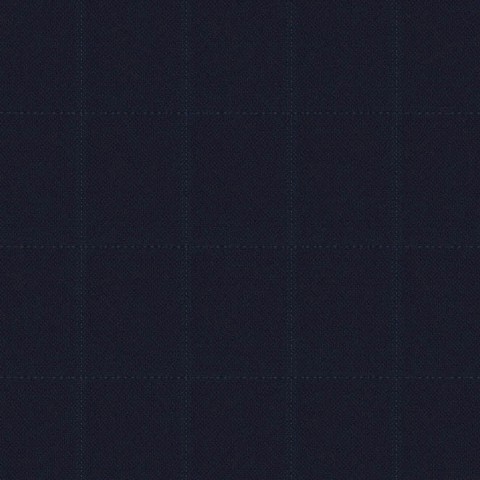 Dark Navy Blue Window Pants