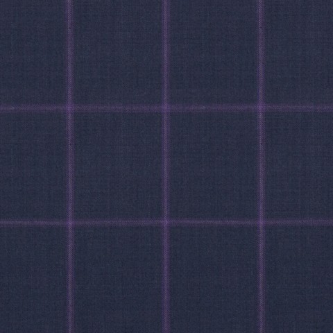 Navy Blue Purple Window Pants