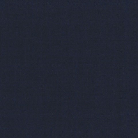 Navy Blue textured Pant