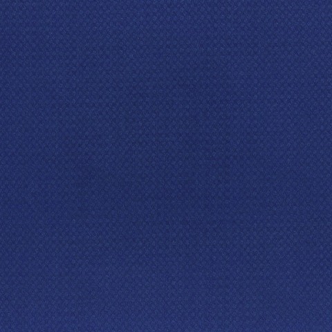 Blue Sea textured Pant