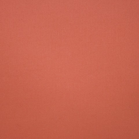 Cotton Orange Carrot Stretch Pants