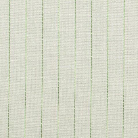Light Green Single Stripe Shirts