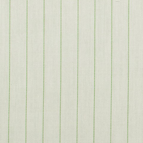 Light Green Single Stripe Shirts