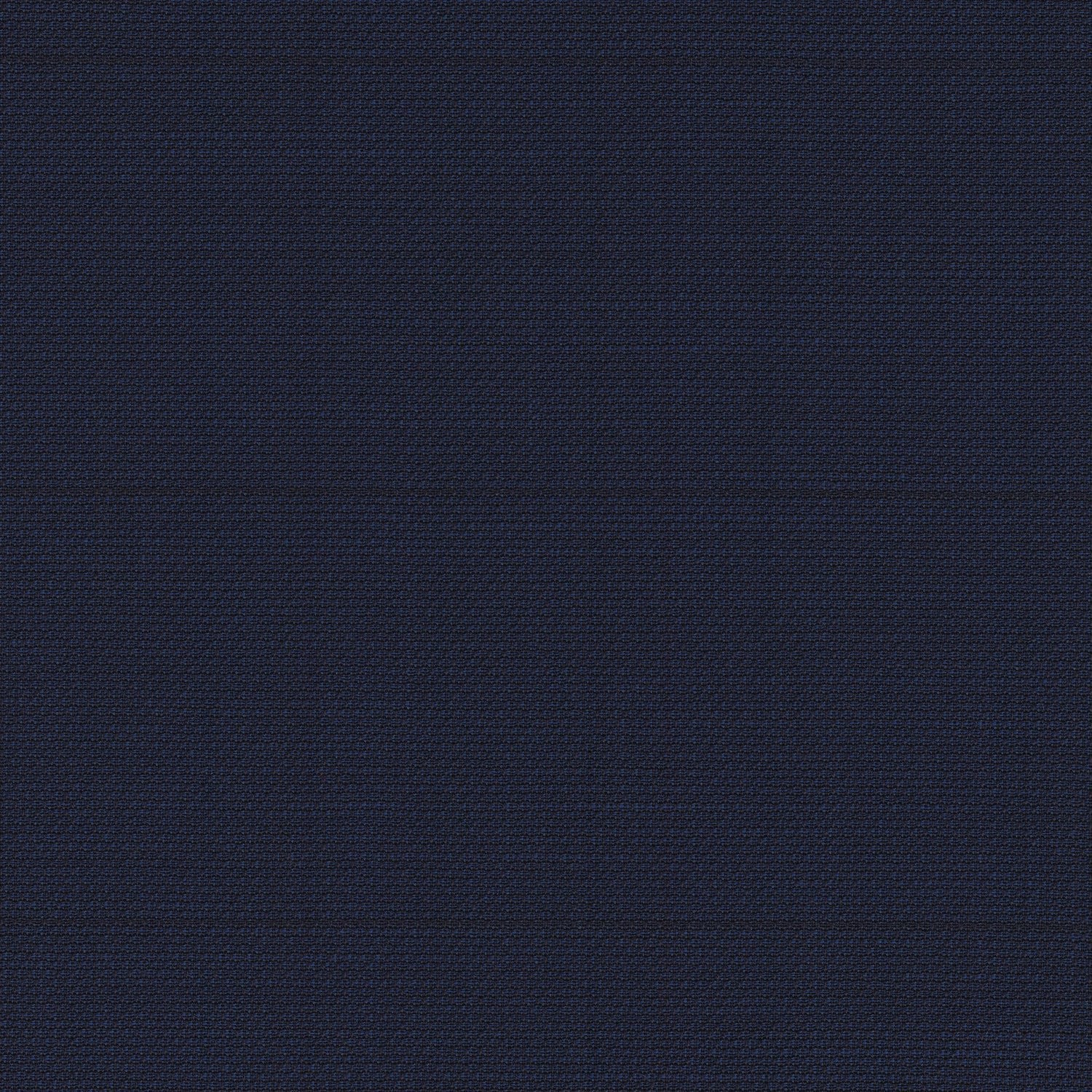 Blue 707305 - Wool Stretch Pants
