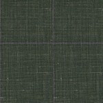 Green 25064 - Wool Silk Linen Suit