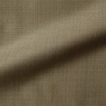 Light Beige Brown Suit