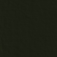 Green 11000-42 - 100% Wool Pants