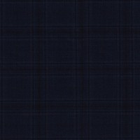 Blue 212612 - 100% Wool Pants