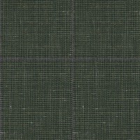 Green 25064 - Wool Silk Linen Suit