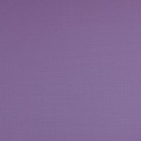 Purple 707071 - Wool Stretch Pants