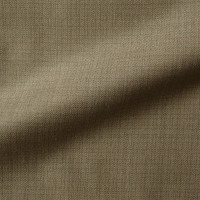 Light Beige Brown Suit
