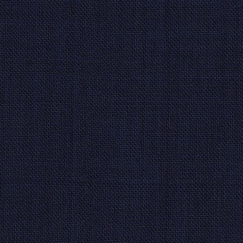 Blue 100328 - 100% Wool Pants