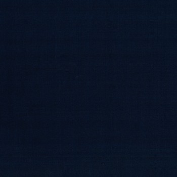Navy Blue Classic Twill Pants