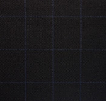 Casual Black Blue Window Pants
