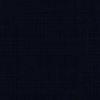 Blue 21170-2 - 100% Wool Pants
