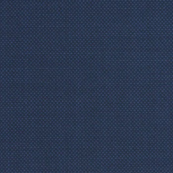Blue Bird eyes Pants