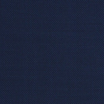 Navy Blue Bird eyes Pants