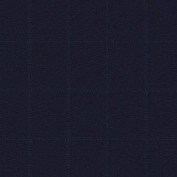 Dark Navy Blue Window Pants