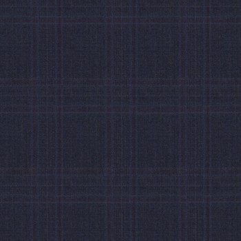 Navy Blue Purple Window Pants  