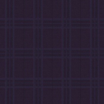Dark Purple Window Pants  