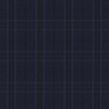 Dark Blue Window Pants  