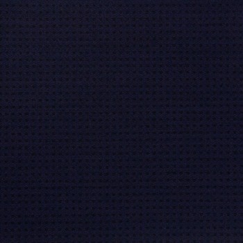 Navy Blue Box textured Pant