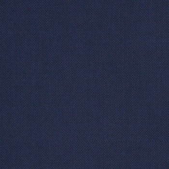 Navy Blue Small Bird eyes Pant