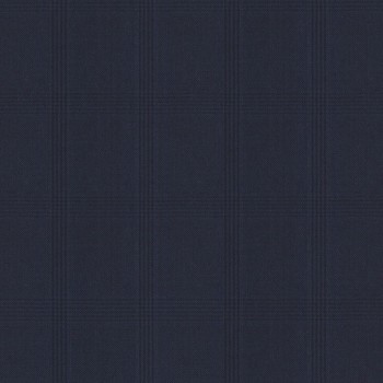 Dark Navy Blue Check Pants