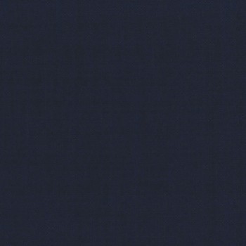 Navy Blue textured Pant
