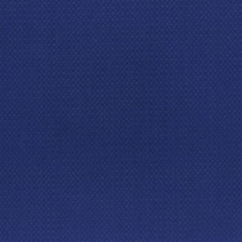 Blue Sea textured Pant