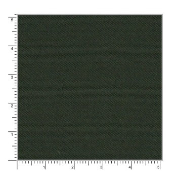 Green CT777-49 - 100% Pure Cotton Stretch Pants