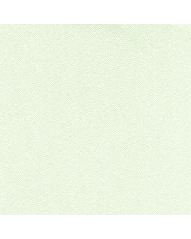 Green JN3055 - ICE 100% Cotton Shirts