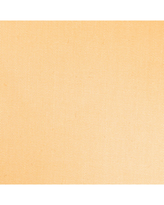 Plain Twill Cantaloupe Shirt