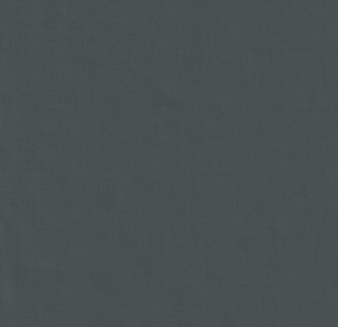 Grey 11000-38 - 100% Wool Pants