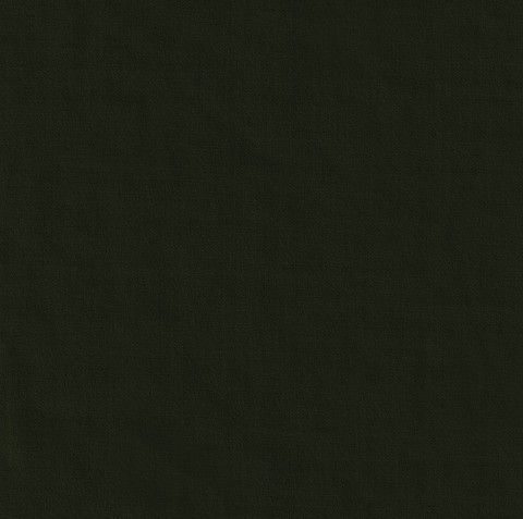Green 11000-42 - 100% Wool Pants