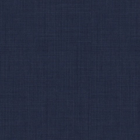 Blue 21157-2 - 100% Wool Pants