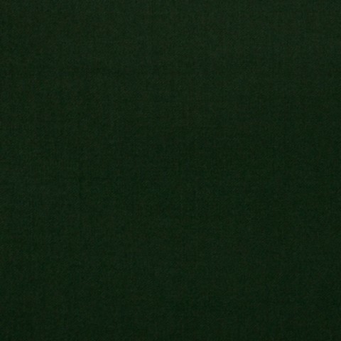 Dark Green Twills Flannel Pants