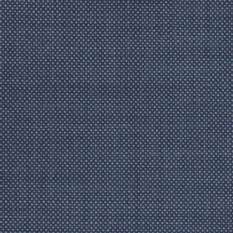 Blue Grey Bird eyes Pants