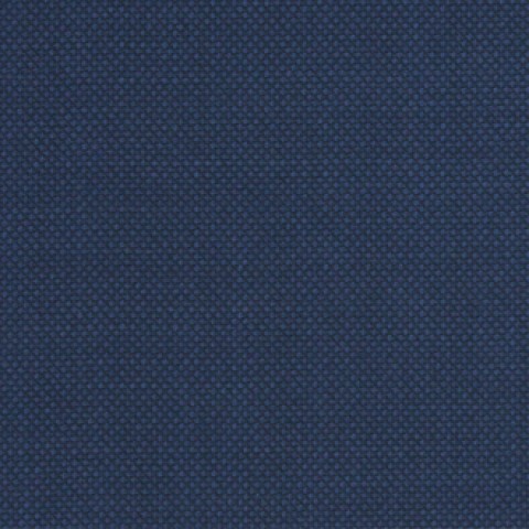 Blue Bird eyes Pants