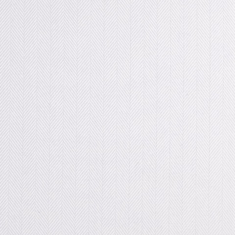 White 756014 - Pure Cotton Shirts