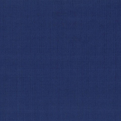 Blue Sea Pin Striped Pants