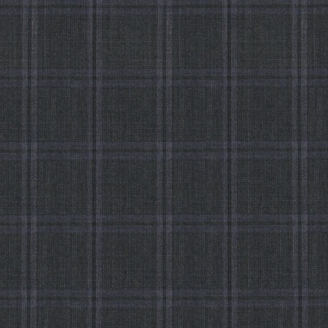 Dark Grey Blue window Pants  