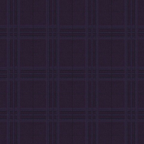 Dark Purple Window Pants  