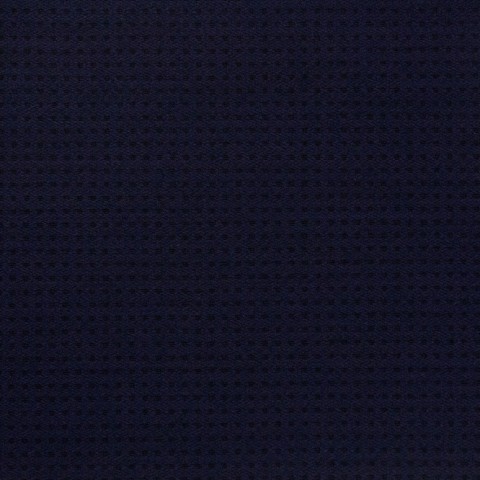 Navy Blue Box textured Pant