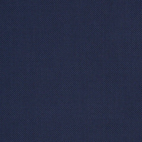 Navy Blue Small Bird eyes Pant