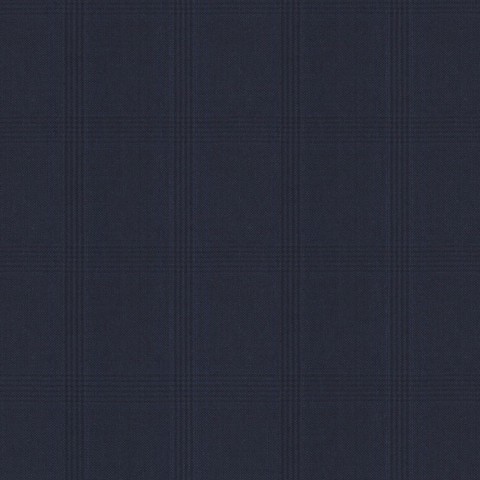 Dark Navy Blue Check Pants