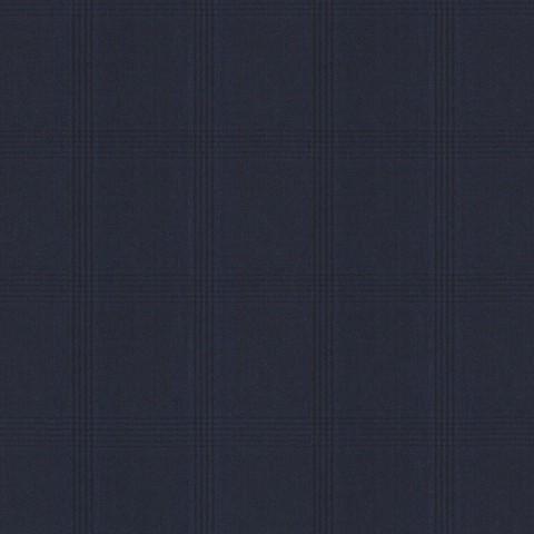 Dark Navy Blue Check Pants