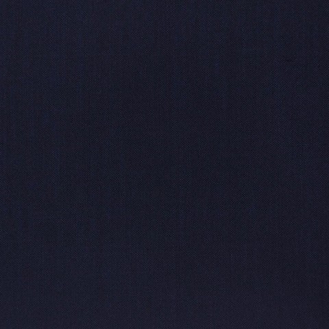 Dark Navy Blue Textured Pant