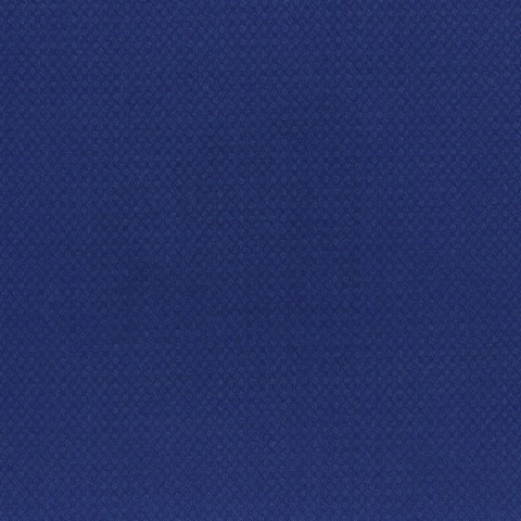 Blue Sea textured Pant
